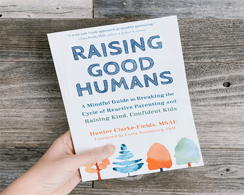 了解试管方案,为生育增添更多可能